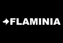 FLAMINIA logo