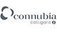 Connubia logo