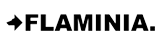 FLAMINIA logo